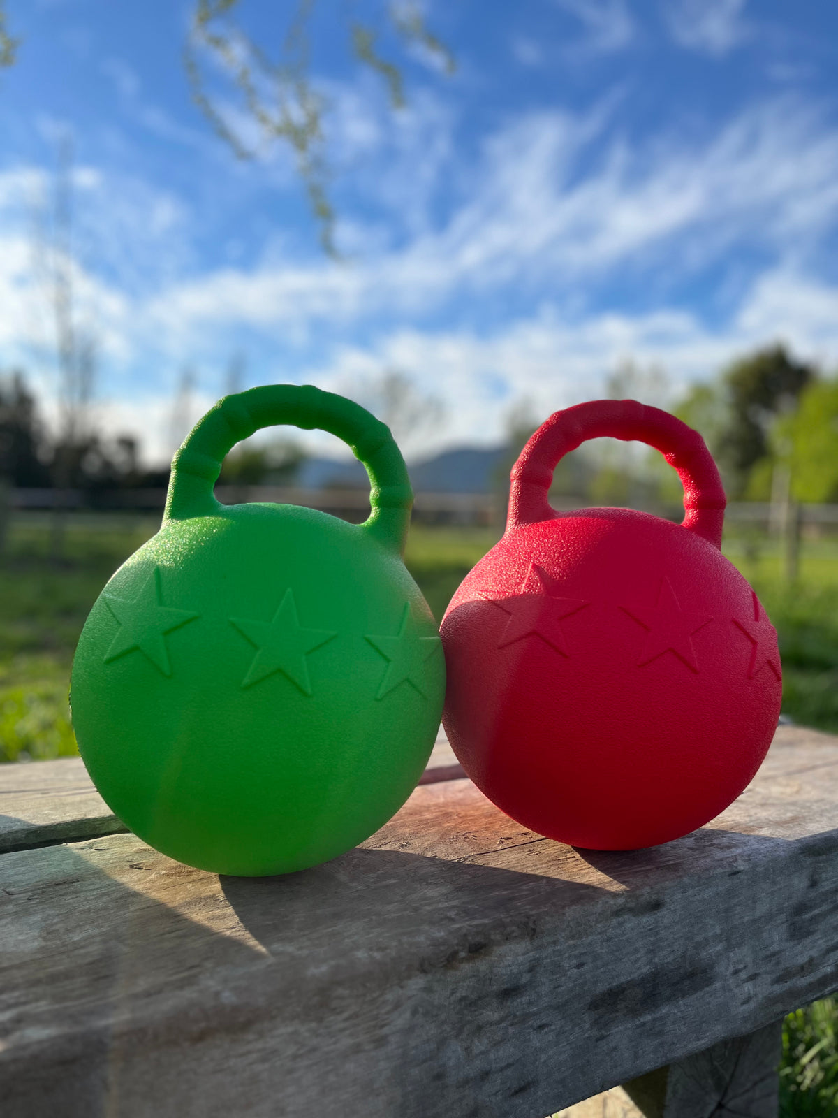 Pelota de entretenimiento (Kettlebell)